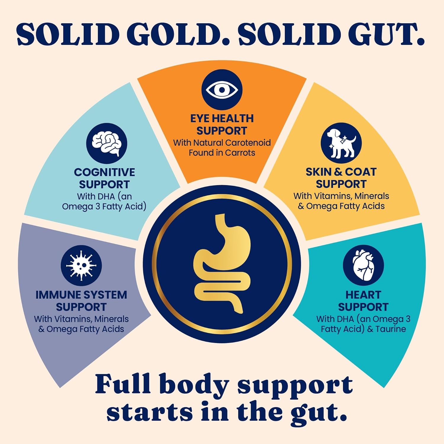 Solid Gold Indoor Dry Cat Food - Grain Free & Gluten Free - Chicken Cat Food Dry Kibble for Indoor Cats for Gut Health - Sensitive Stomach & Hairball Support for Adult Cats - 12LB