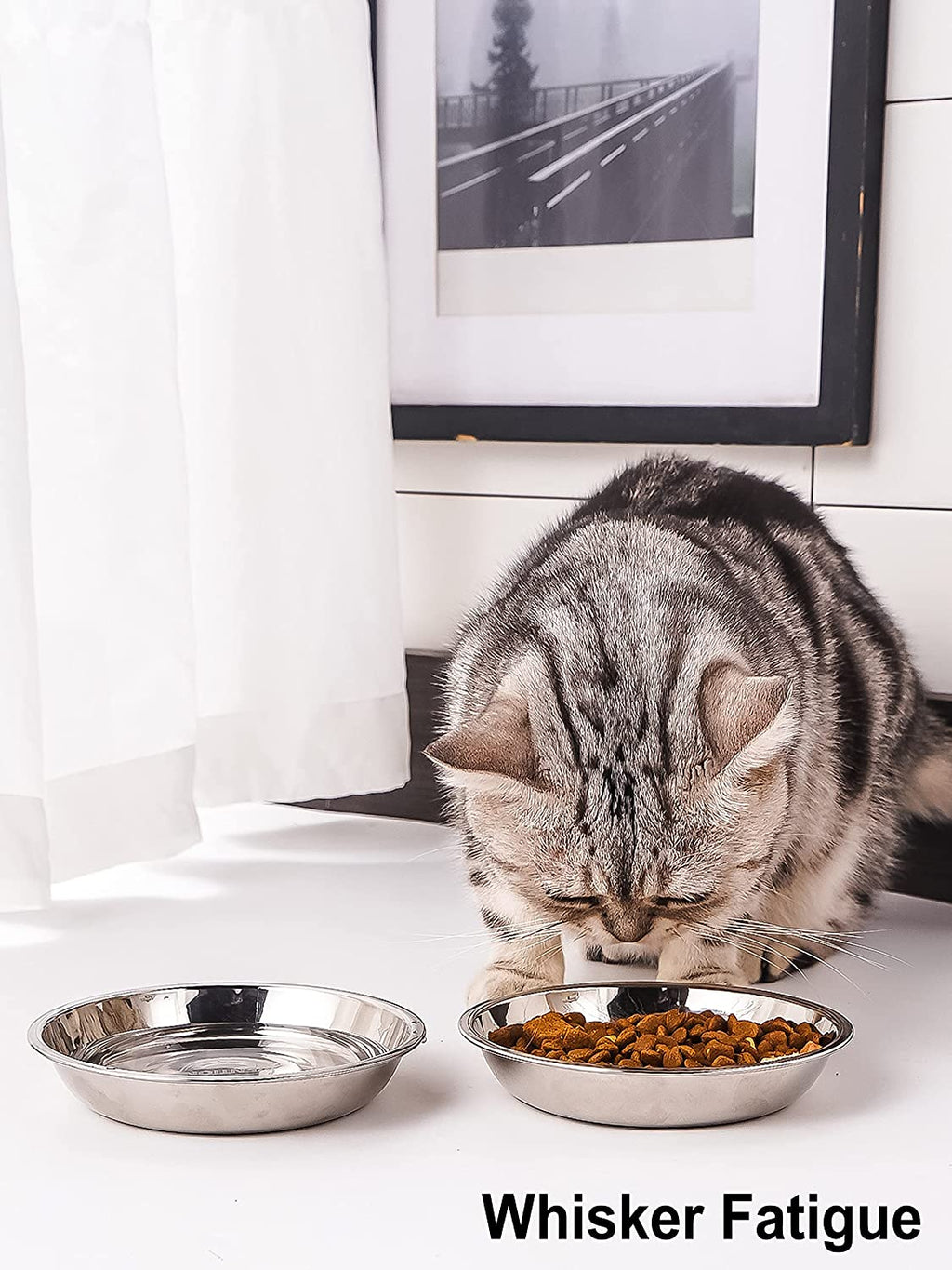 Stainless Steel Shallow Cat Food Bowl 6.5 Inch, Small Whisker Fatigue Cat Food Dish 15.2 Fl.Oz, Replacement Basic Kitten Bowls Bulk for Elevated Stand, Dishwasher Safe (Set of 4)